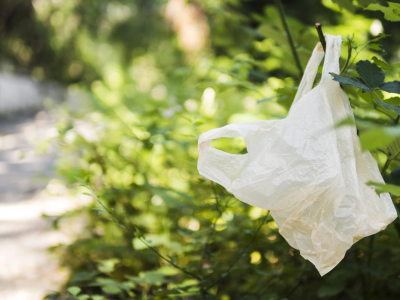 Bolsas de Plástico: Qué Dice la Ley y Cómo te Afecta